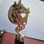 конный спорт Красноярск,конкур конный спорт,соревнования по конному спорту,лошади для конного спорта,золотая подкова конный спорт,