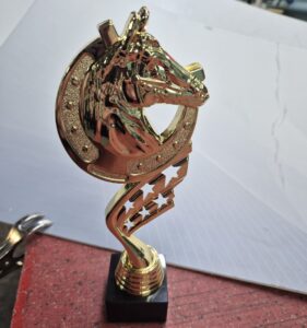 конный спорт красноярск,конкур конный спорт,соревнования по конному спорту,лошади для конного спорта,золотая подкова конный спорт,